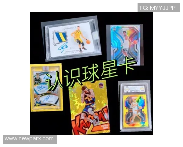 《帕尼尼足球球星卡全图鉴收藏指南》