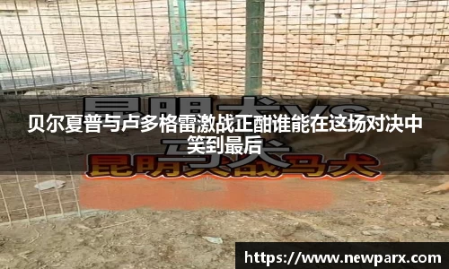 BG大游集团